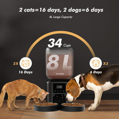 Nityers feeder with two trays enables simultaneous meals for two cats.