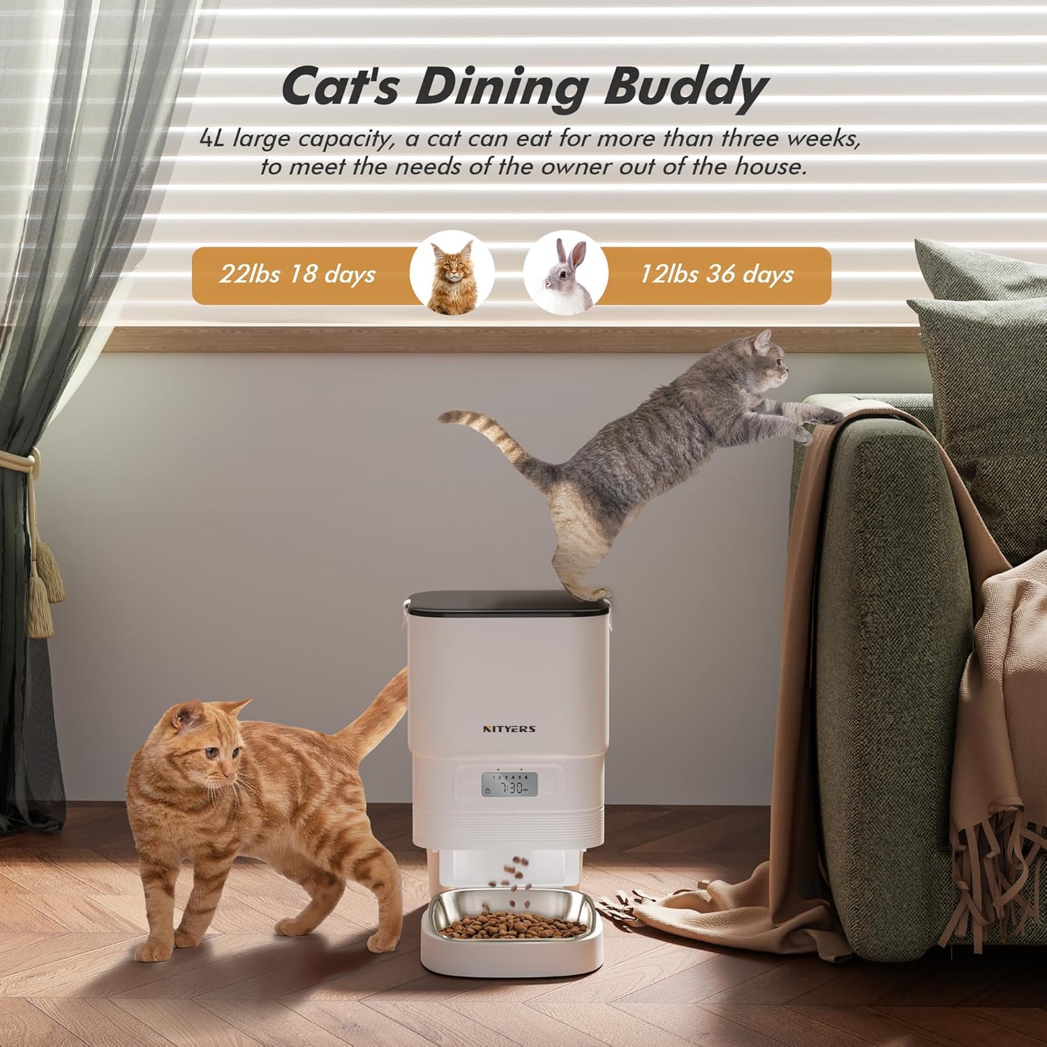 Nityers automatic-feeder kibble-size-compatibility supports diverse dry foods.