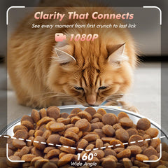 Nityers cat feeder 5L capacity keeps kibble accessible for weeks.