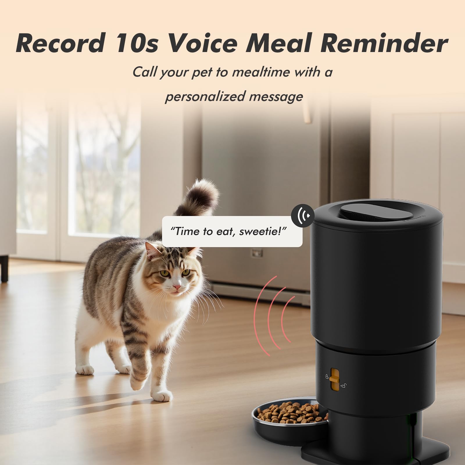 Nityers cat feeder displays 10s voice recording for pet reassurance.