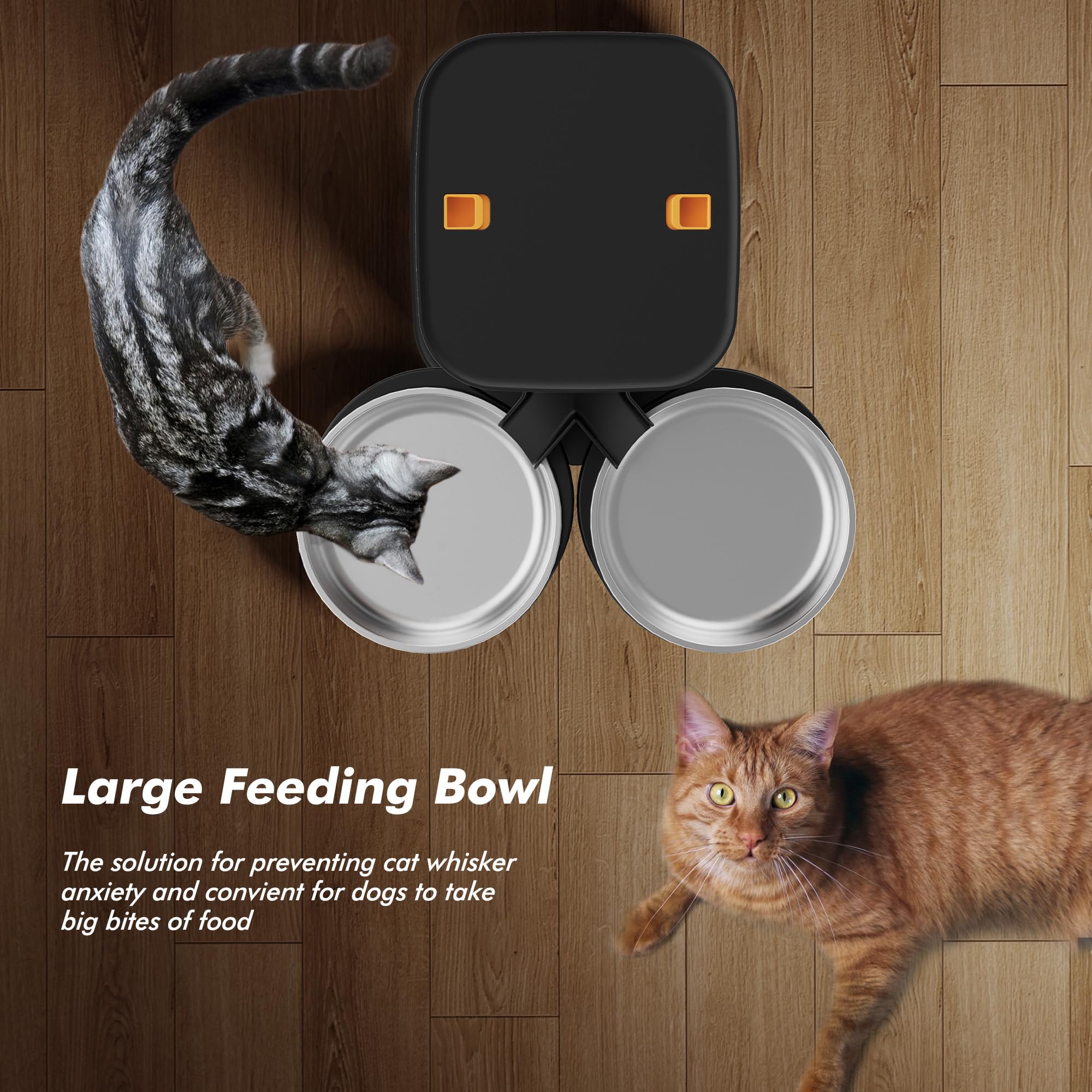 Nityers dual-dispensing balance ensures fair share for two cats.