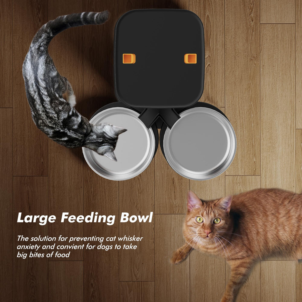 Nityers dual-dispensing balance ensures fair share for two cats.