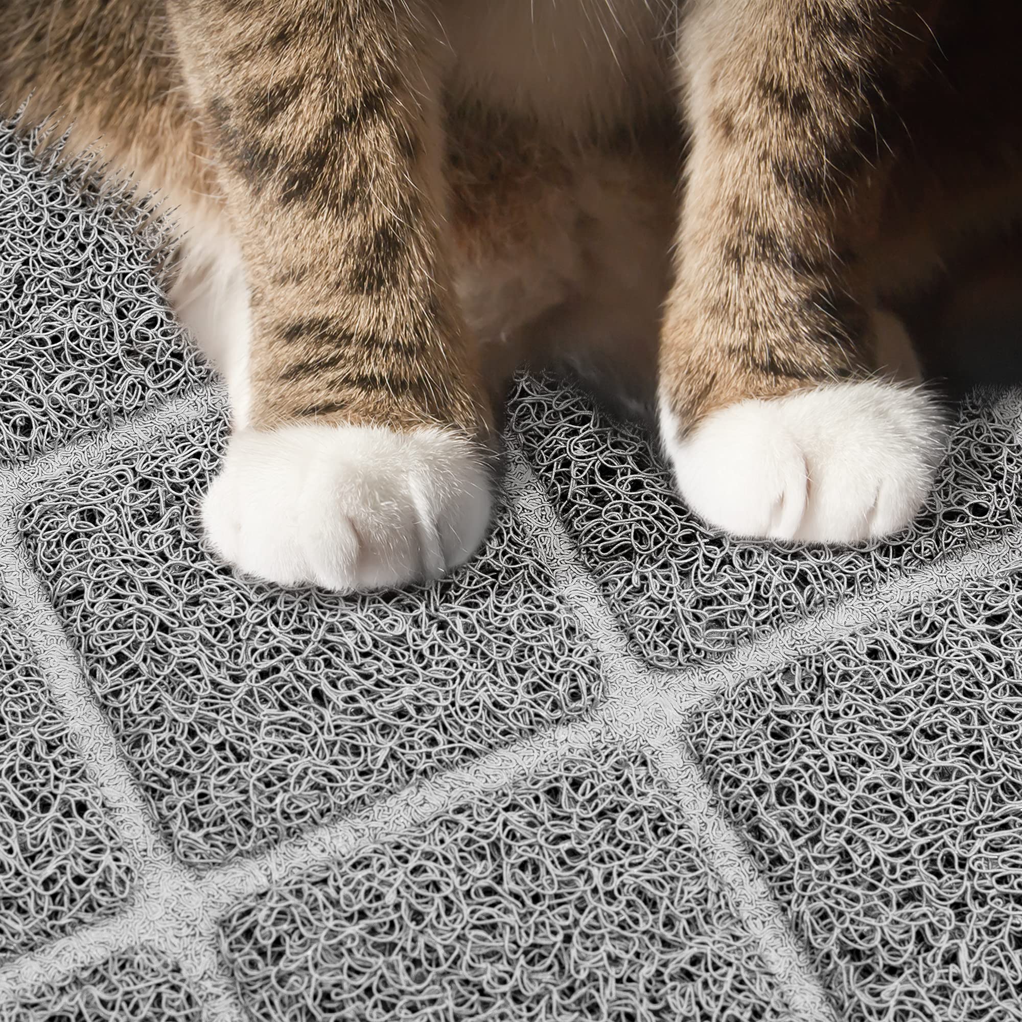 Niubya Premium Cat Litter Mat in-room placement catching litter as a cat exits.