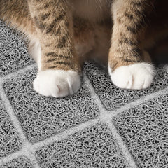 Niubya Premium Cat Litter Mat in-room placement catching litter as a cat exits.