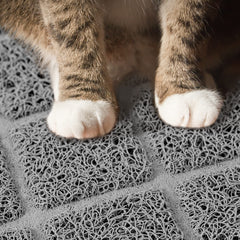 Niubya Premium Cat Litter Mat soft on paws provides comfortable stepping for cats
