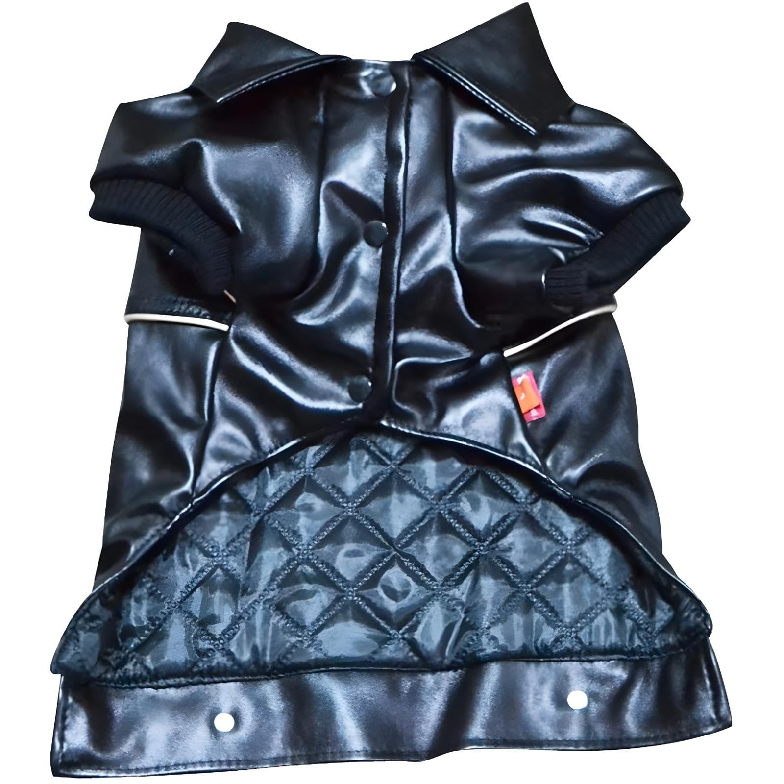 NIULA dog leather jacket back view illustrating windproof warmth for chilly walks.