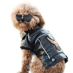 NIULA dog leather jacket front view showcasing stylish biker design for small dogs.