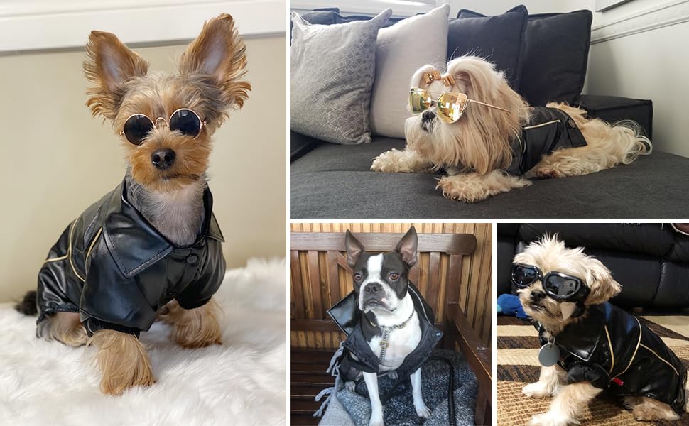NIULA dog leather jacket PP cotton padding interior for cozy warmth.