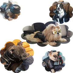 NIULA dog leather jacket waterproof outerwear for rainy day adventures.