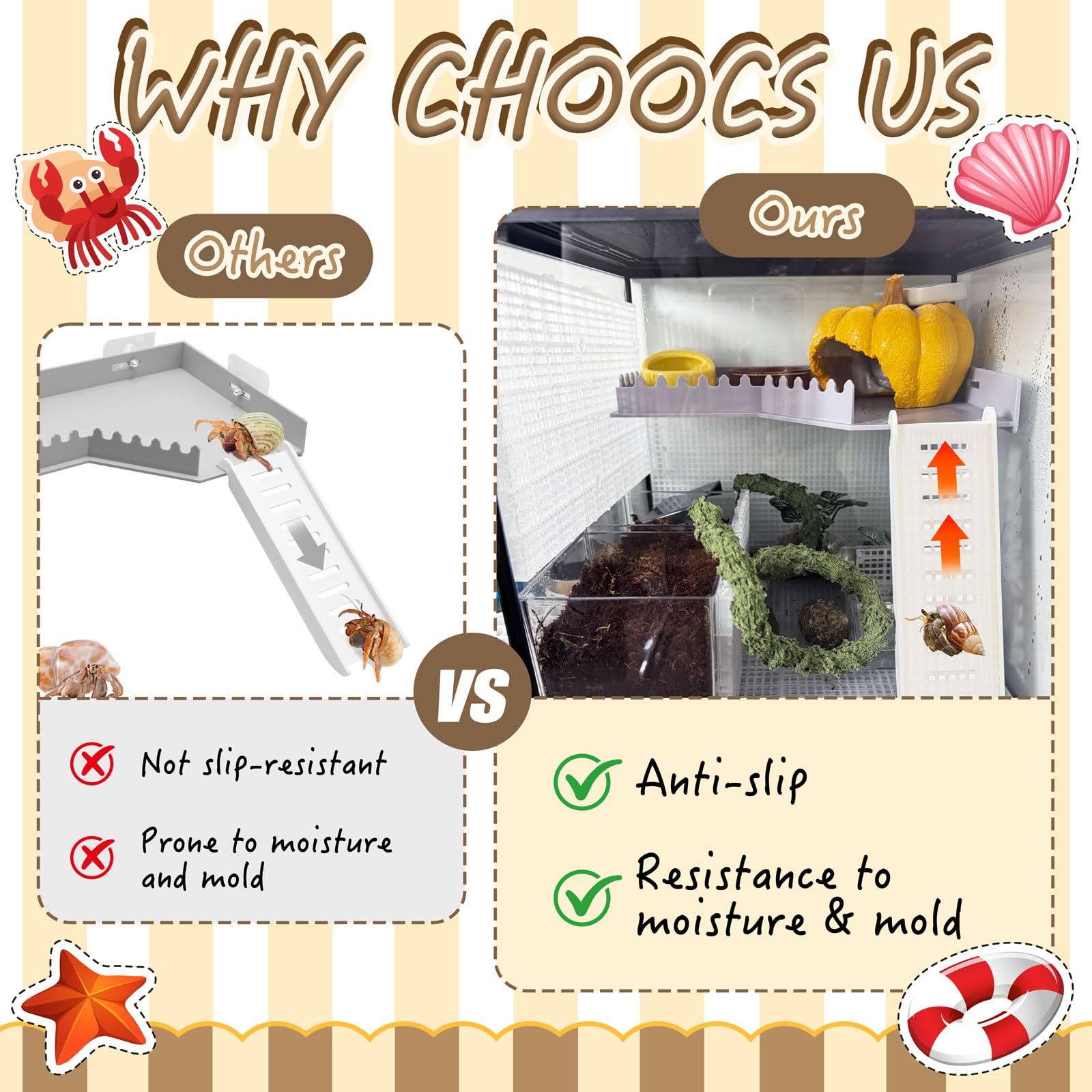 Niuohoy activity platform designed for small animals like geckos and hamsters.