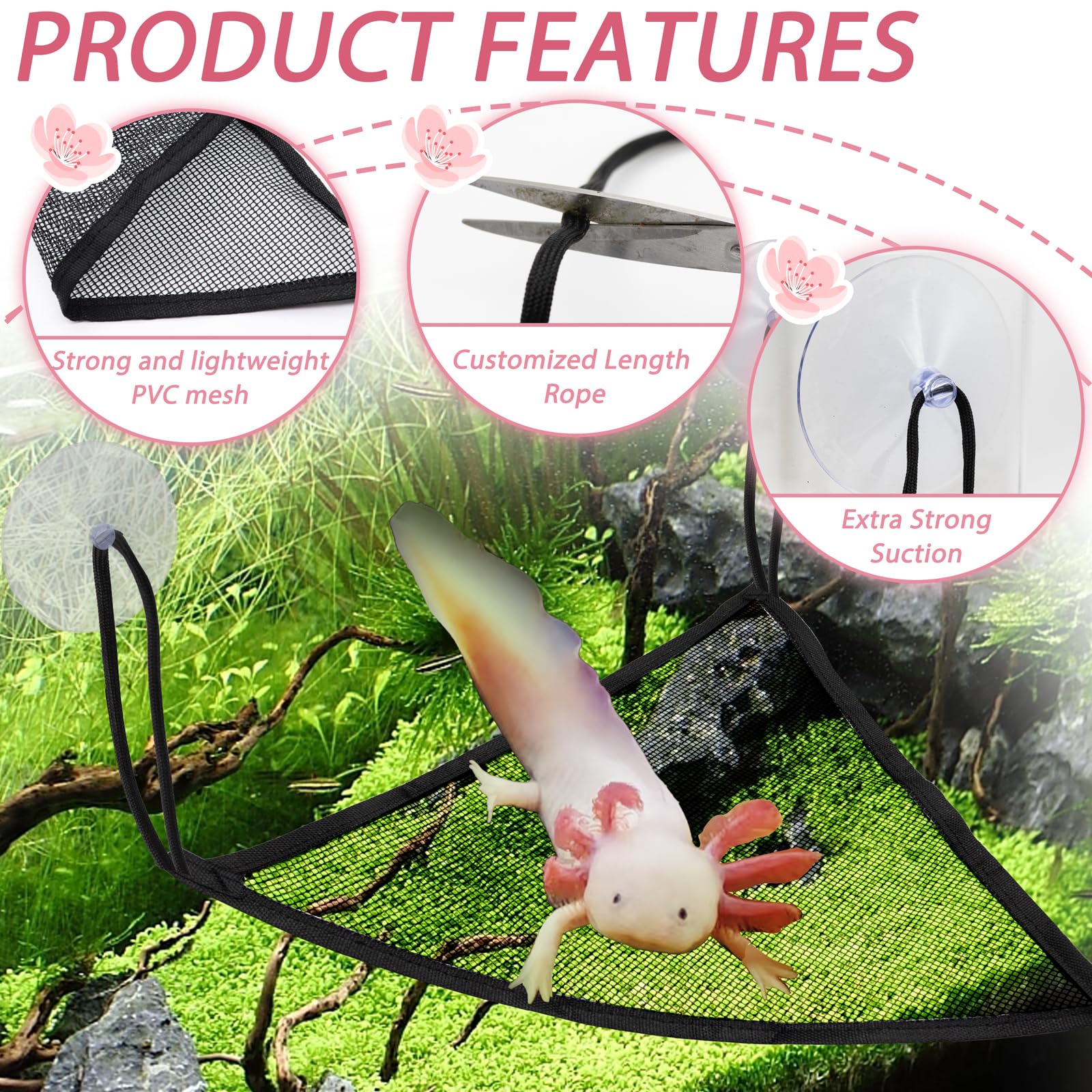 Niuohoy rope attachment demonstrates rust-free, adjustable height without tools