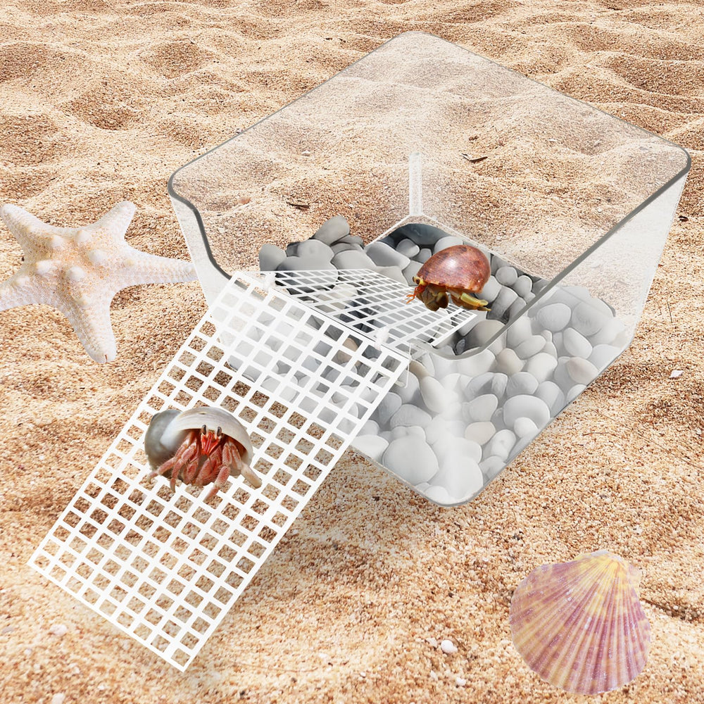 Niuohoy hermit-crab kit enables decorating to enhance habitat comfort.