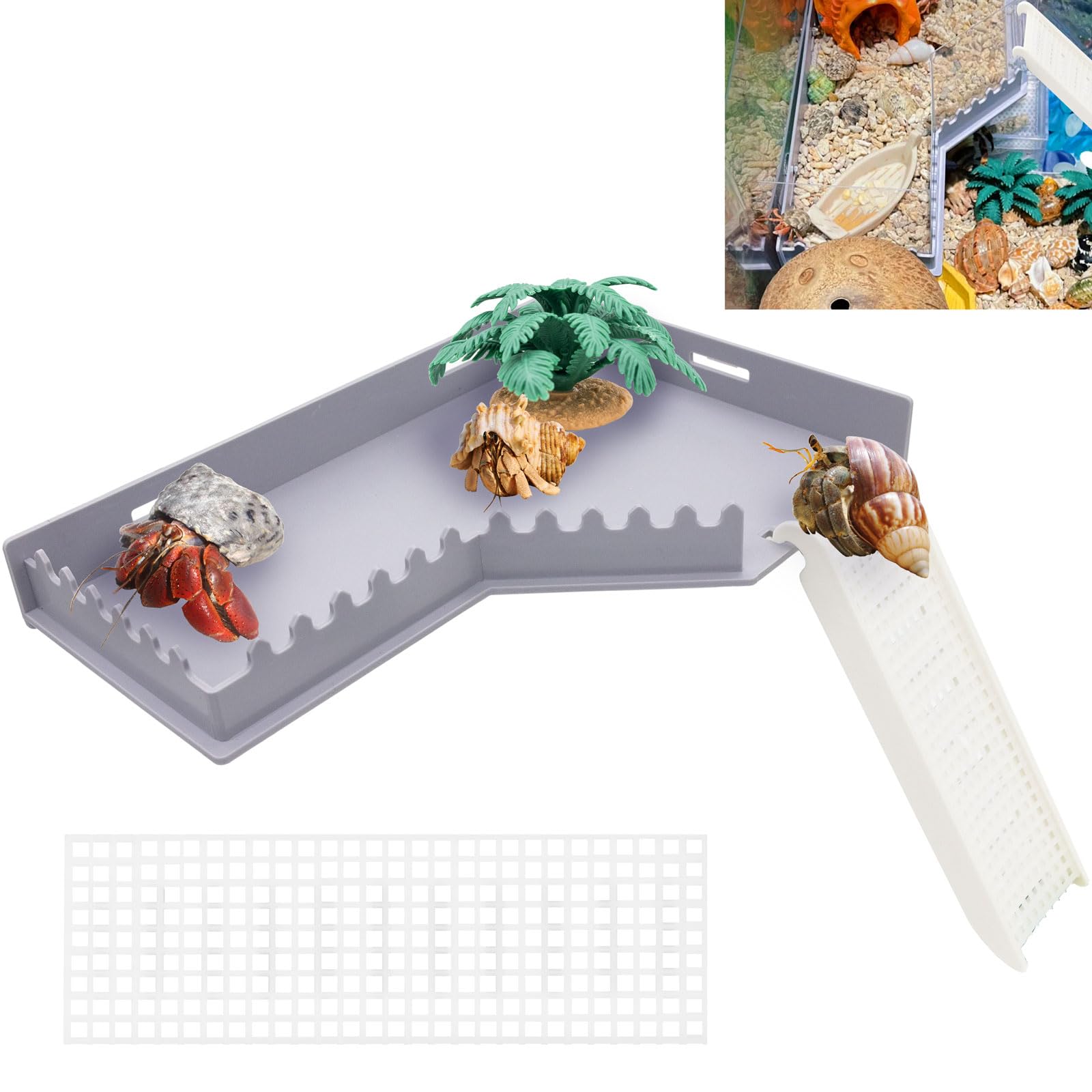 Niuohoy hermit-crab L-shaped platform with ladder for habitat enrichment and climbing play.