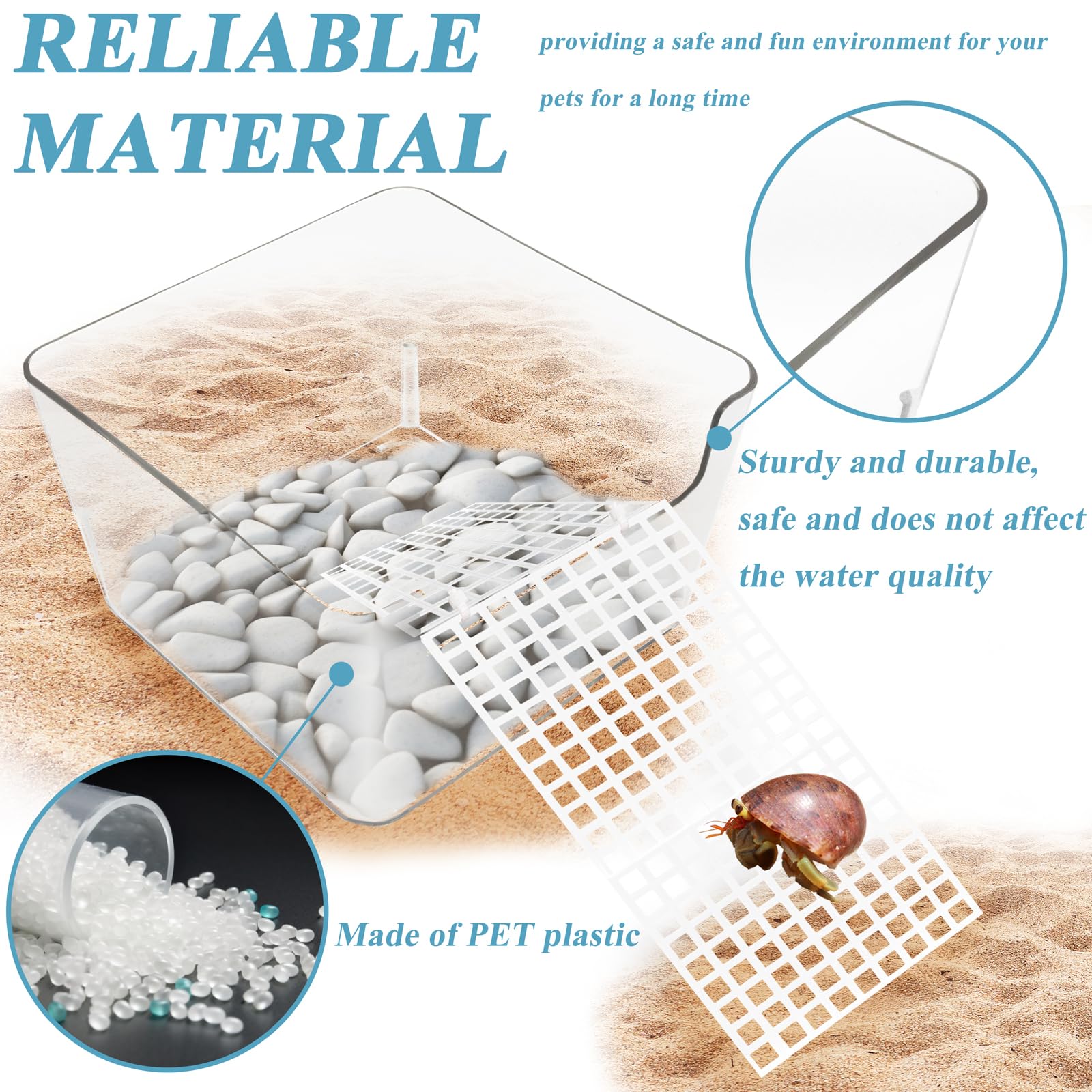 Niuohoy hermit-crab transparent habitat allows watching behaviors closely.
