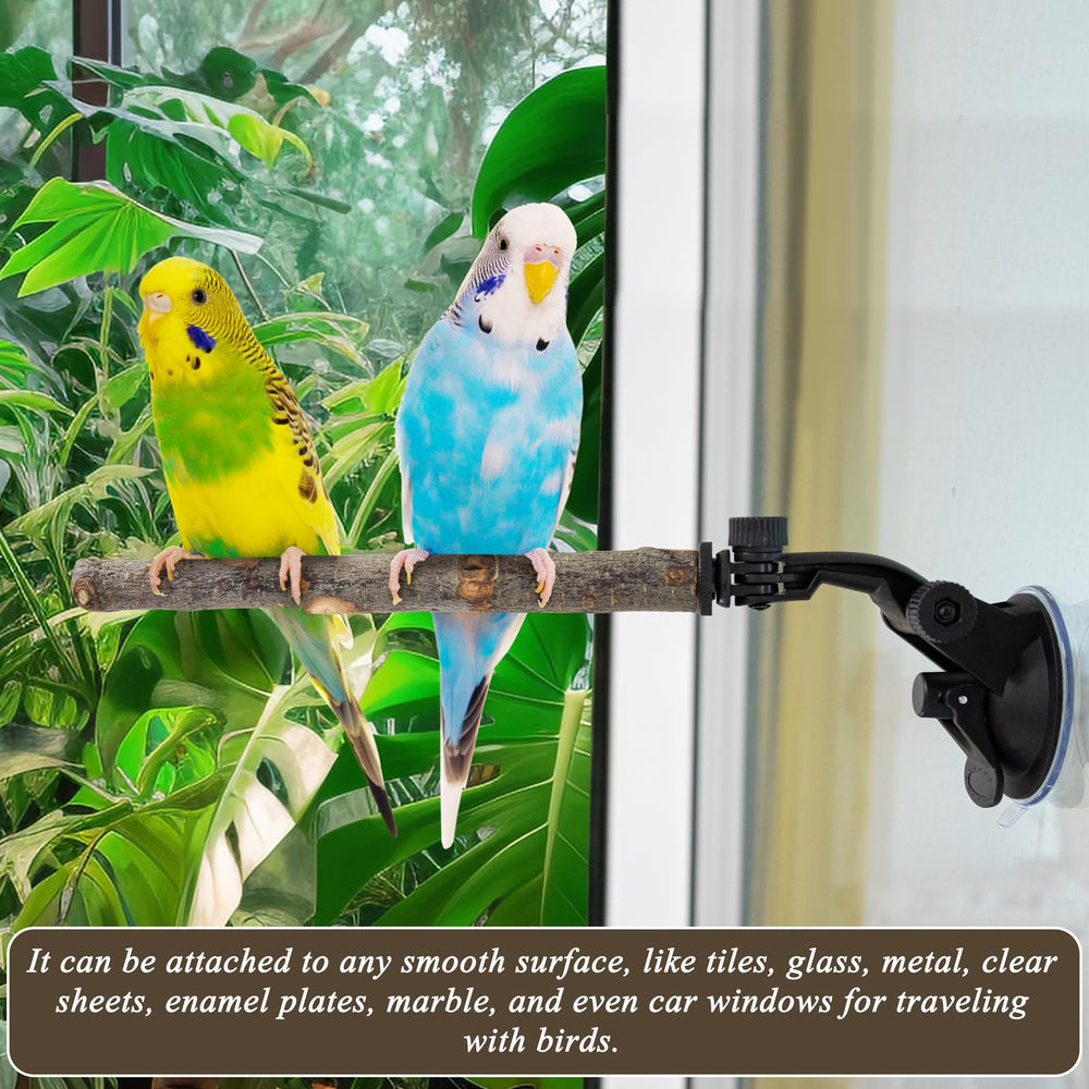 Niuohoy parrot perch mounted on car window for travel play