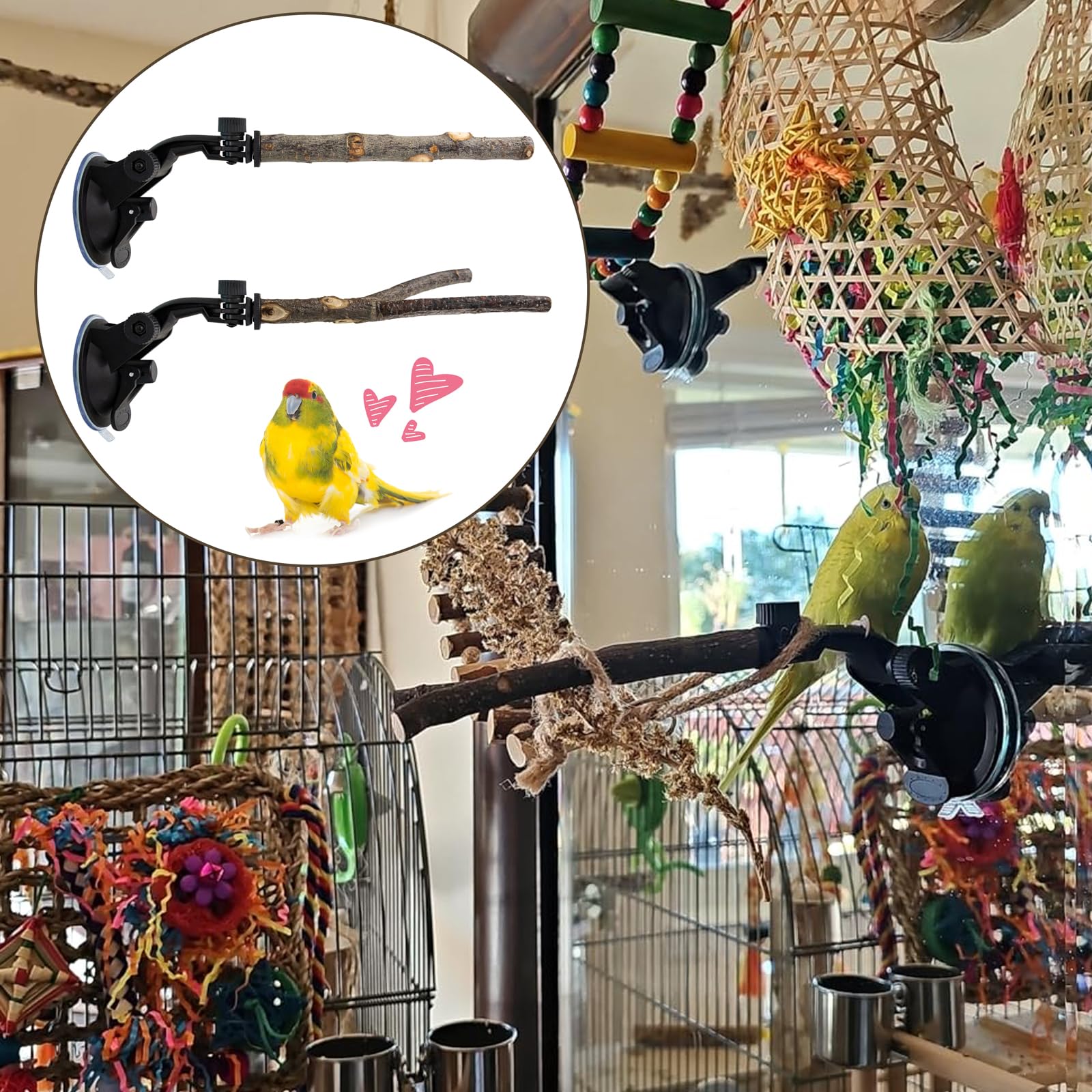 Niuohoy packaged training set with two suction cups and two perches
