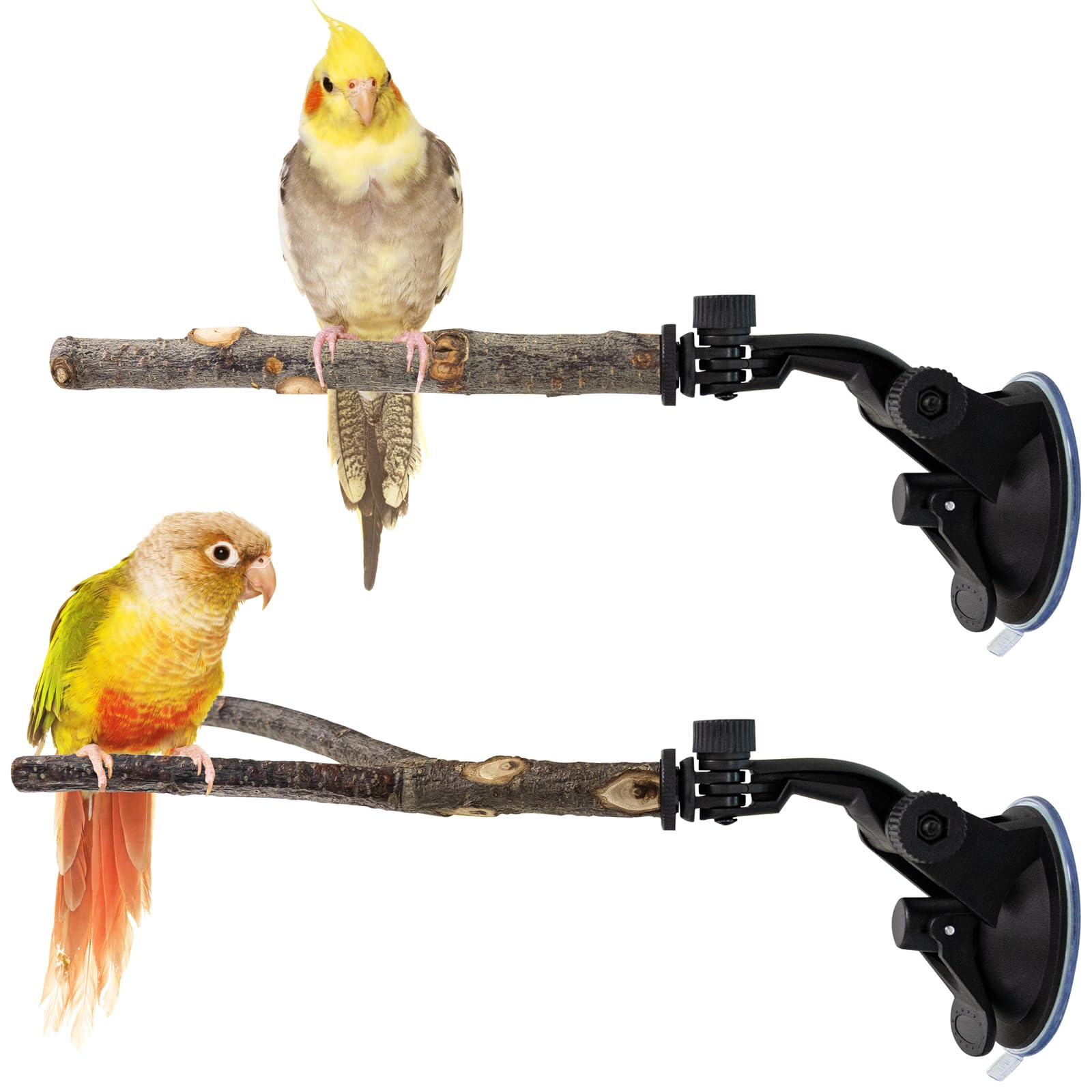 Niuohoy parrot perch stand on window with secure suction for enrichment