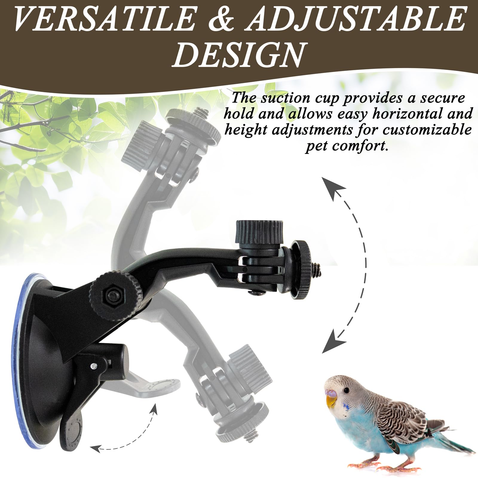 Niuohoy parrot training setup in bathroom for water-friendly exercise