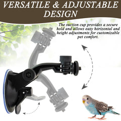 Niuohoy parrot training setup in bathroom for water-friendly exercise