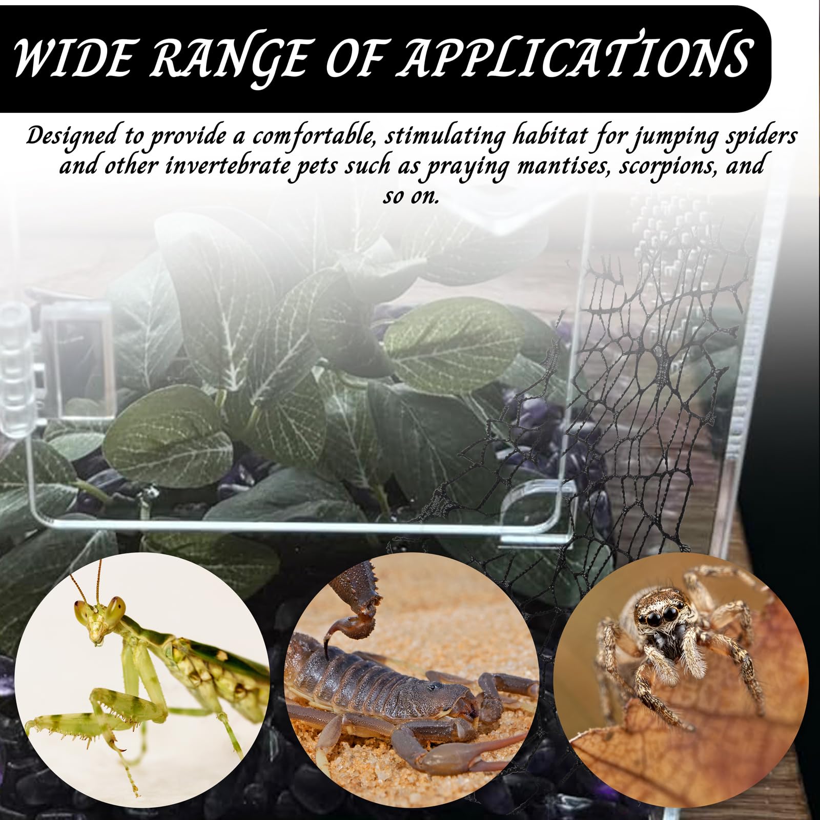 Niuohoy praying mantis habitat attachment for flexible layout