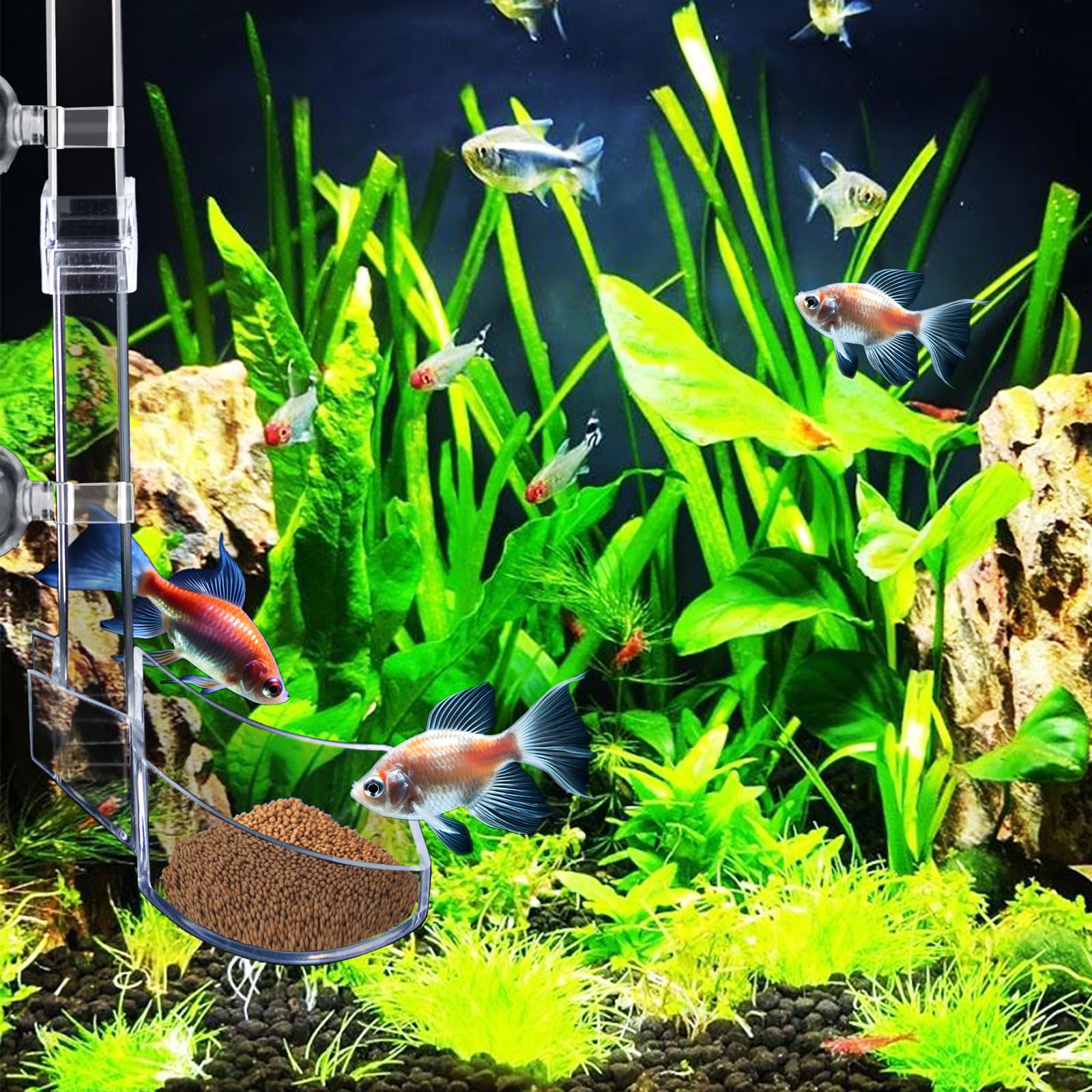 Niuohoy package includes all feeding components for a complete setup