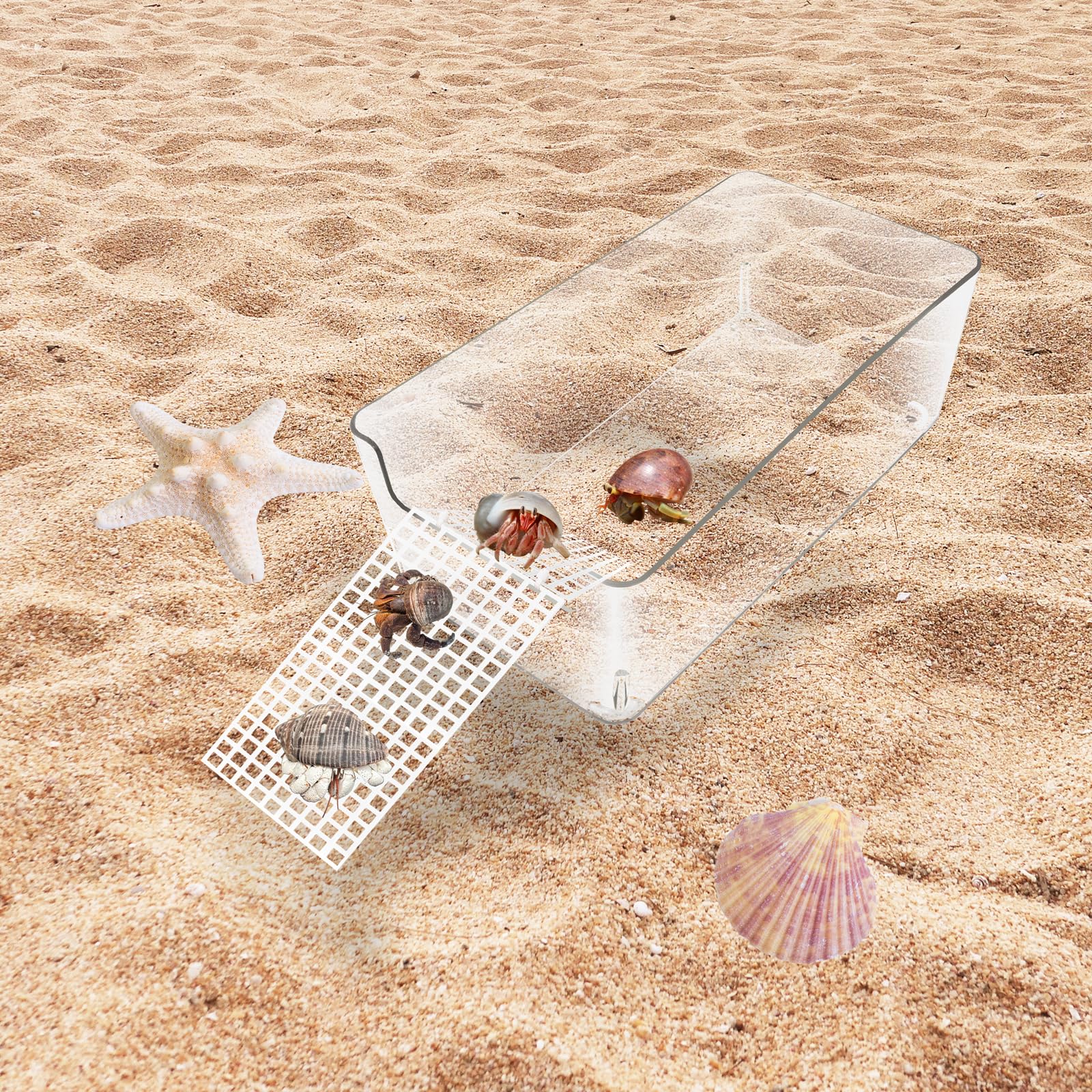 Niuohoy transparent habitat view supports easy decorating and monitoring use.