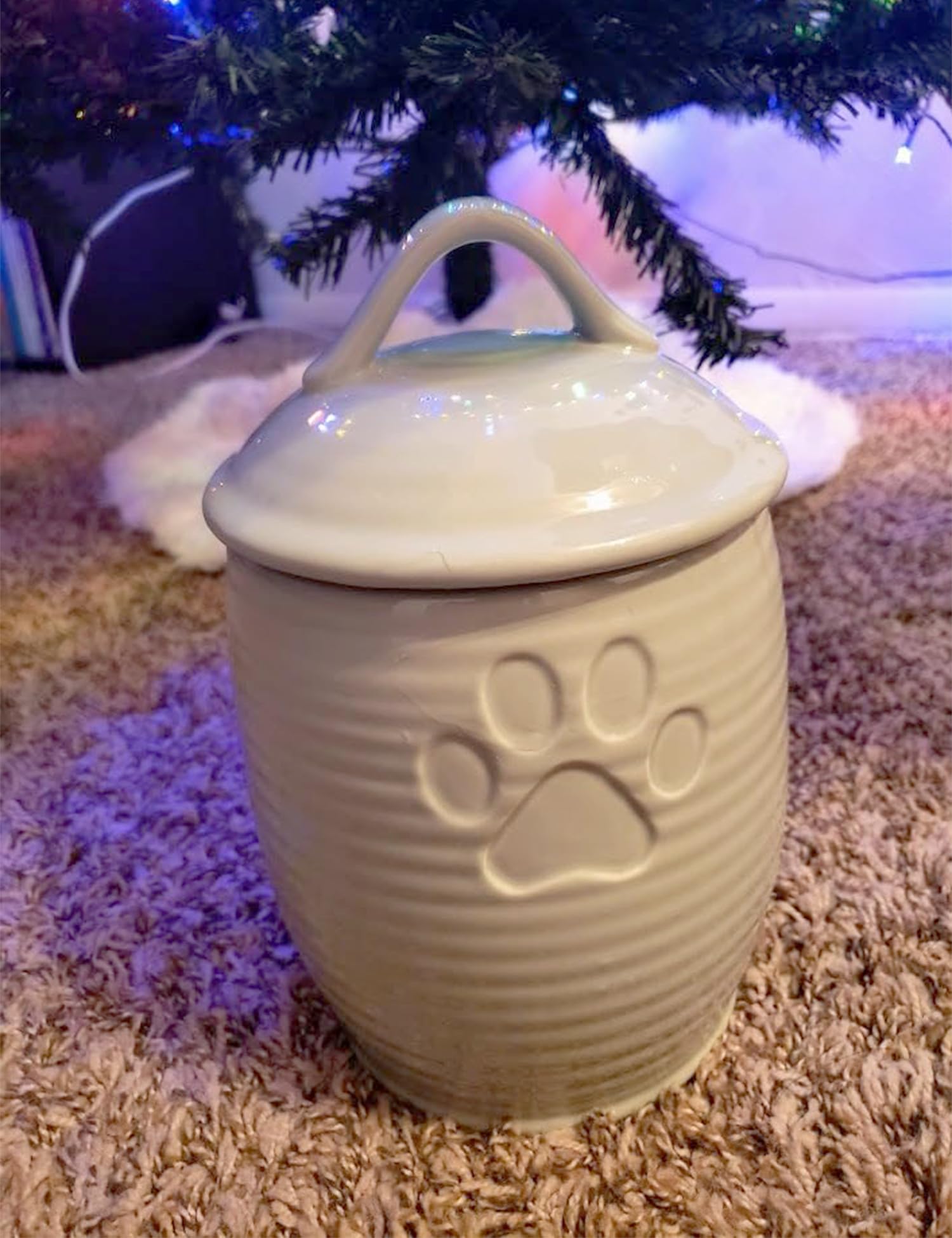 NIXBYO pet storage jar with lid great for dry food