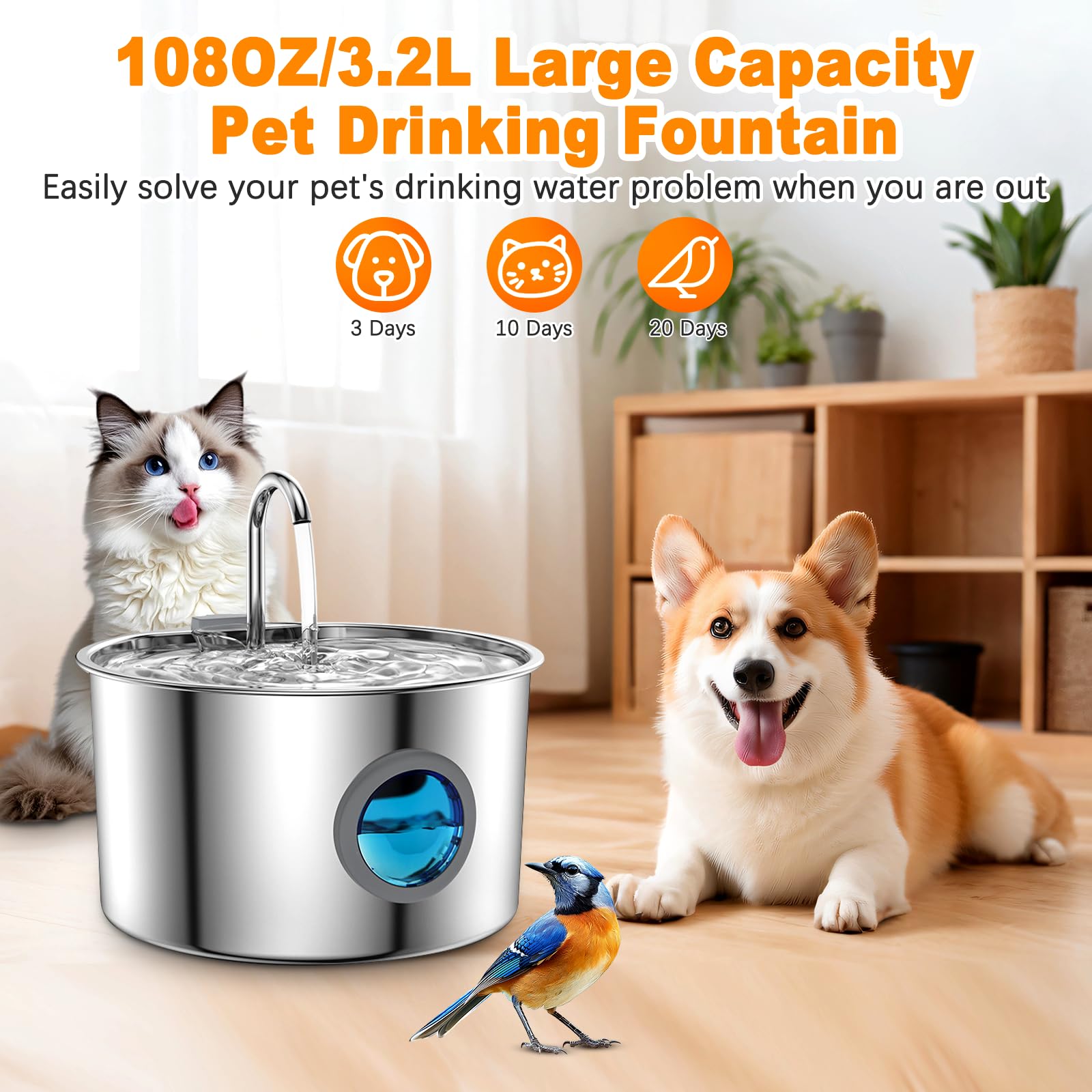 Nixegym dog water fountain silent pump keeps home peaceful during pet drinking