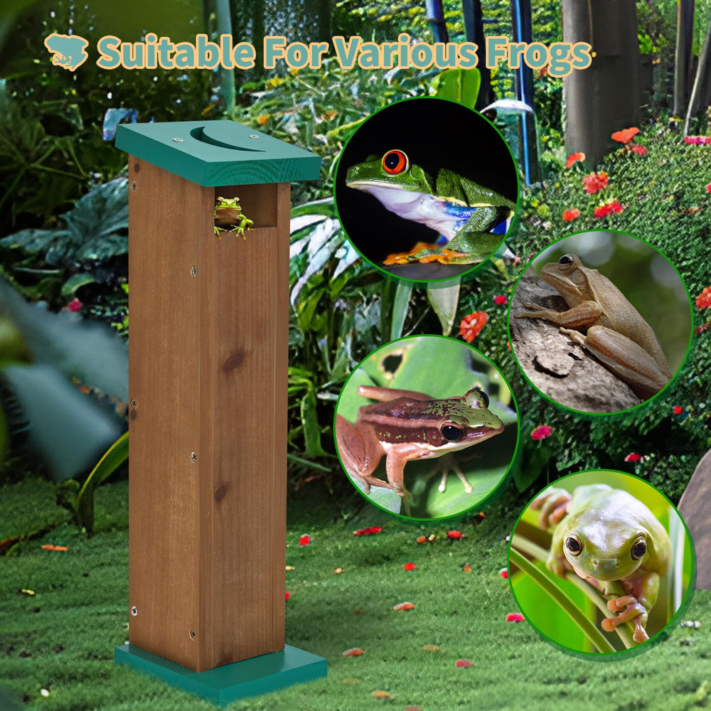 Niyanghome Tree Frog House safe-habitat image suggests day rest and night activity.