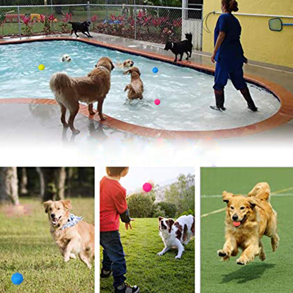 Nlmskzzy dog ball training-dog-sport supports growth-stage play