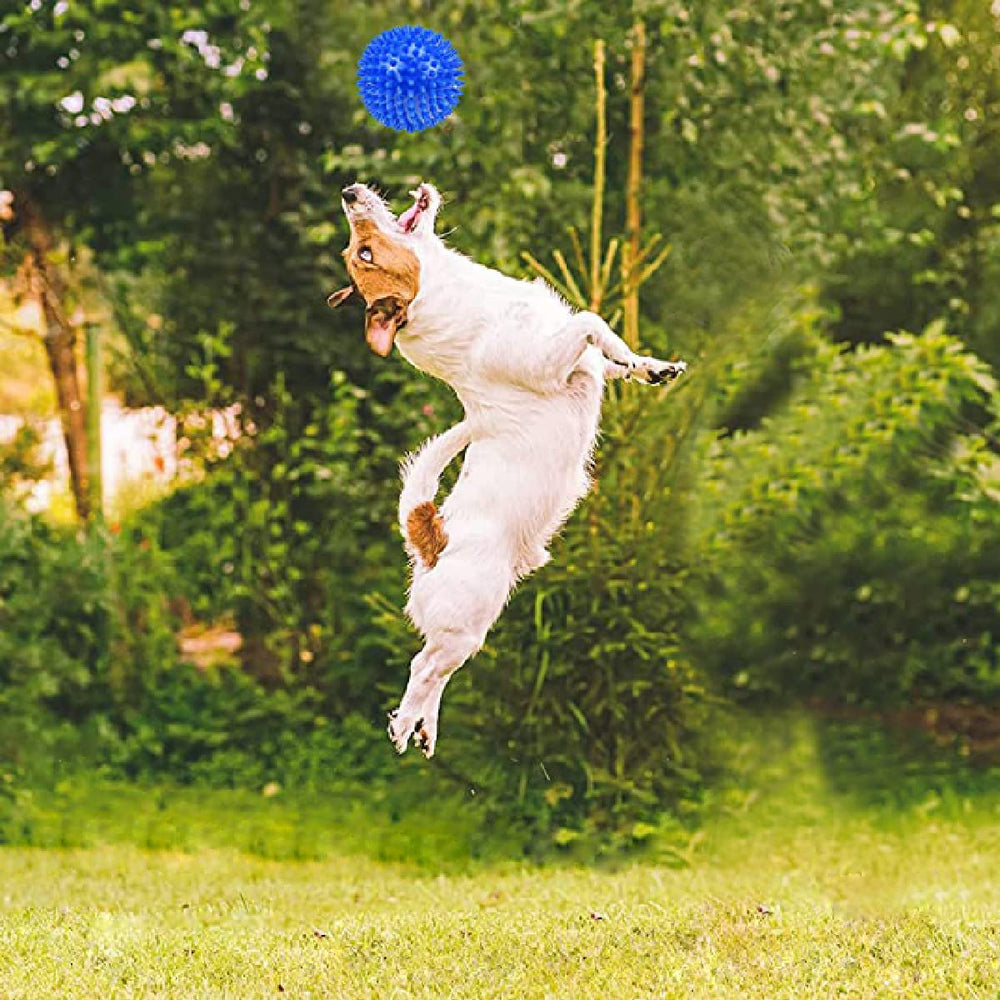 Nlmskzzy dog-chew-toy-gift-set perfect puppy gift option