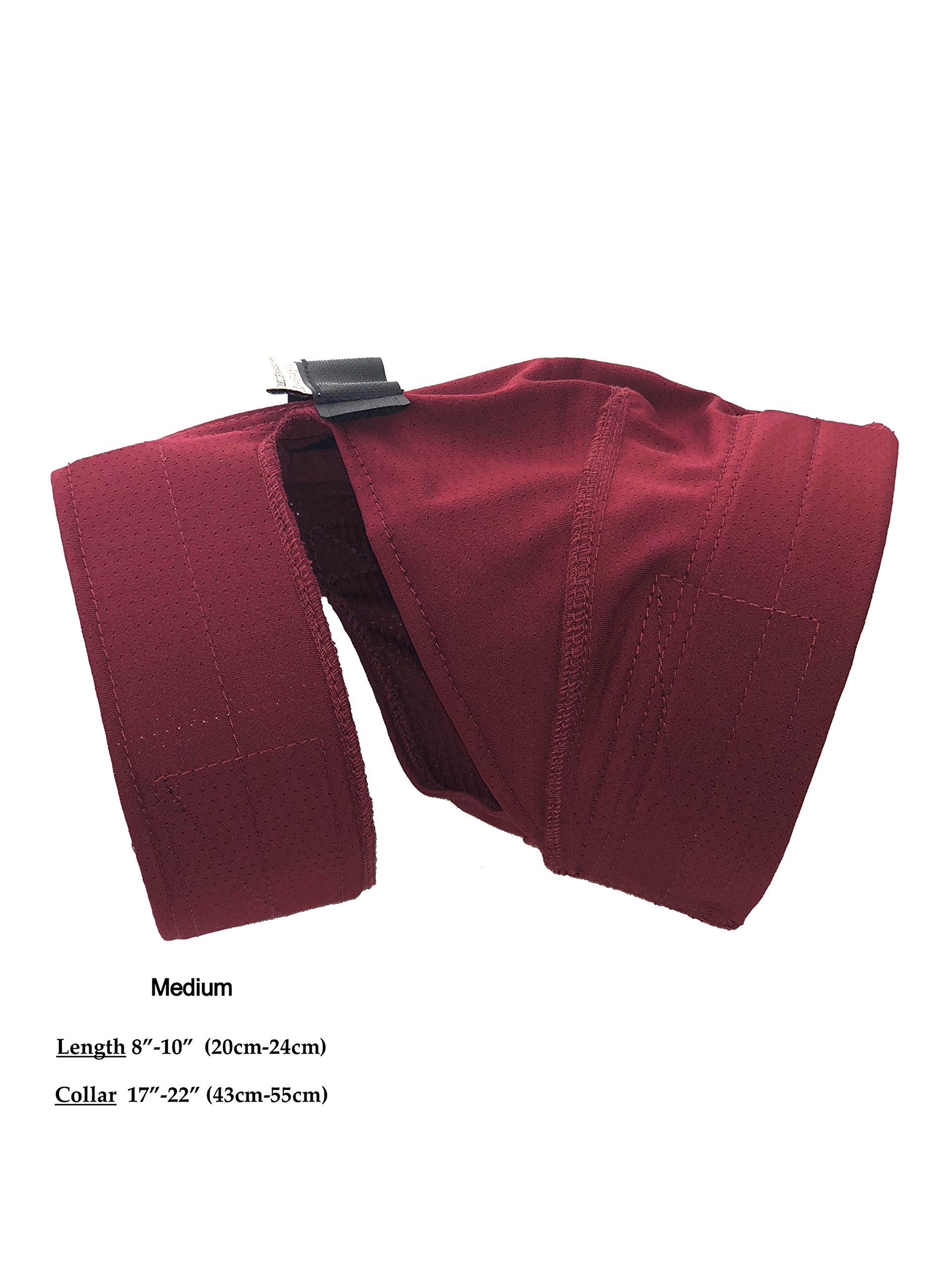No Flap Ear Wrap on a dog during activity shows a reliable fit for daily tasks.