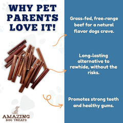 No-hide bully stick bone from Amazing Dog Treats, a single-ingredient natural chew