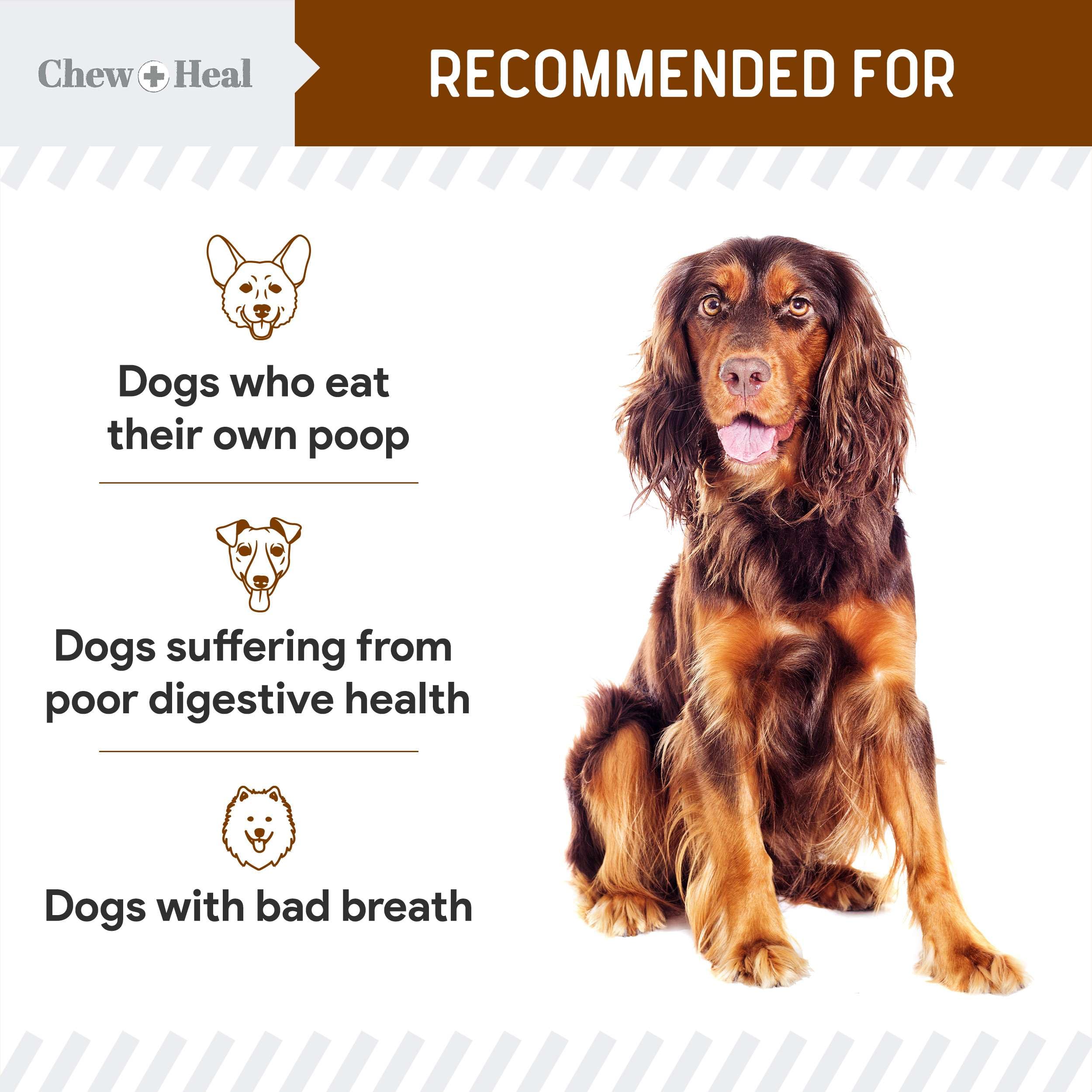 No Poo Chews with parsley and chamomile for breath freshening after treats.