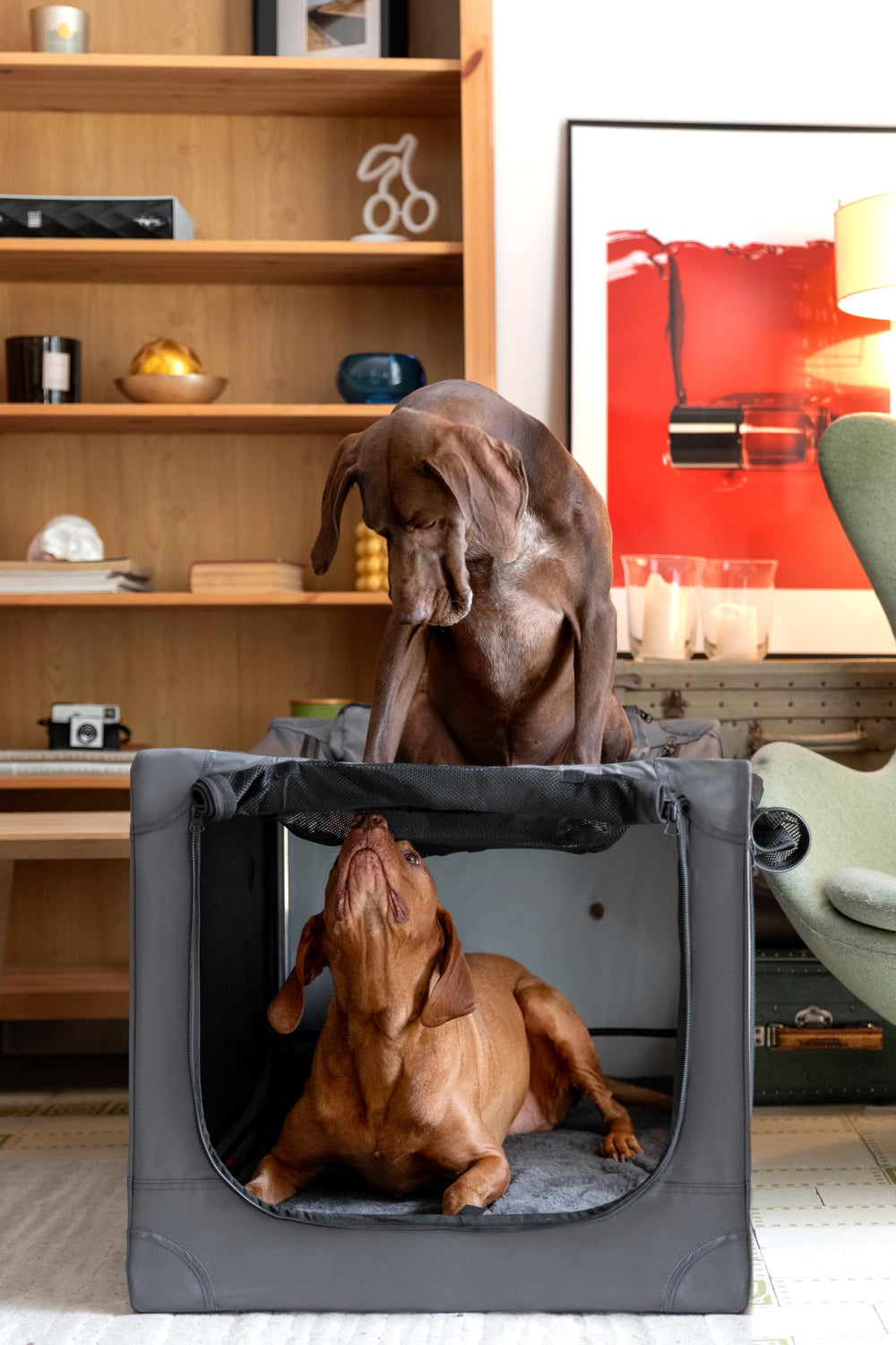 Noah & Paw folding mechanism image demonstrates quick, space-saving crate collapse.