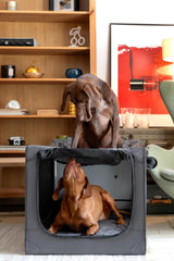 Noah & Paw folding mechanism image demonstrates quick, space-saving crate collapse.