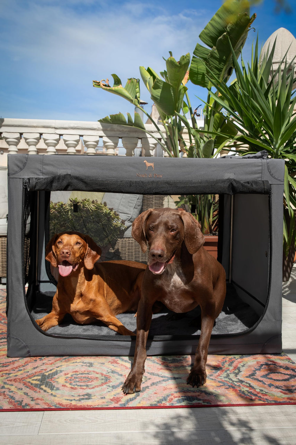 Noah & Paw stainless steel frame highlights robust construction for heavy-use travel.