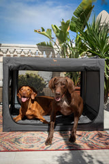 Noah & Paw stainless steel frame highlights robust construction for heavy-use travel.