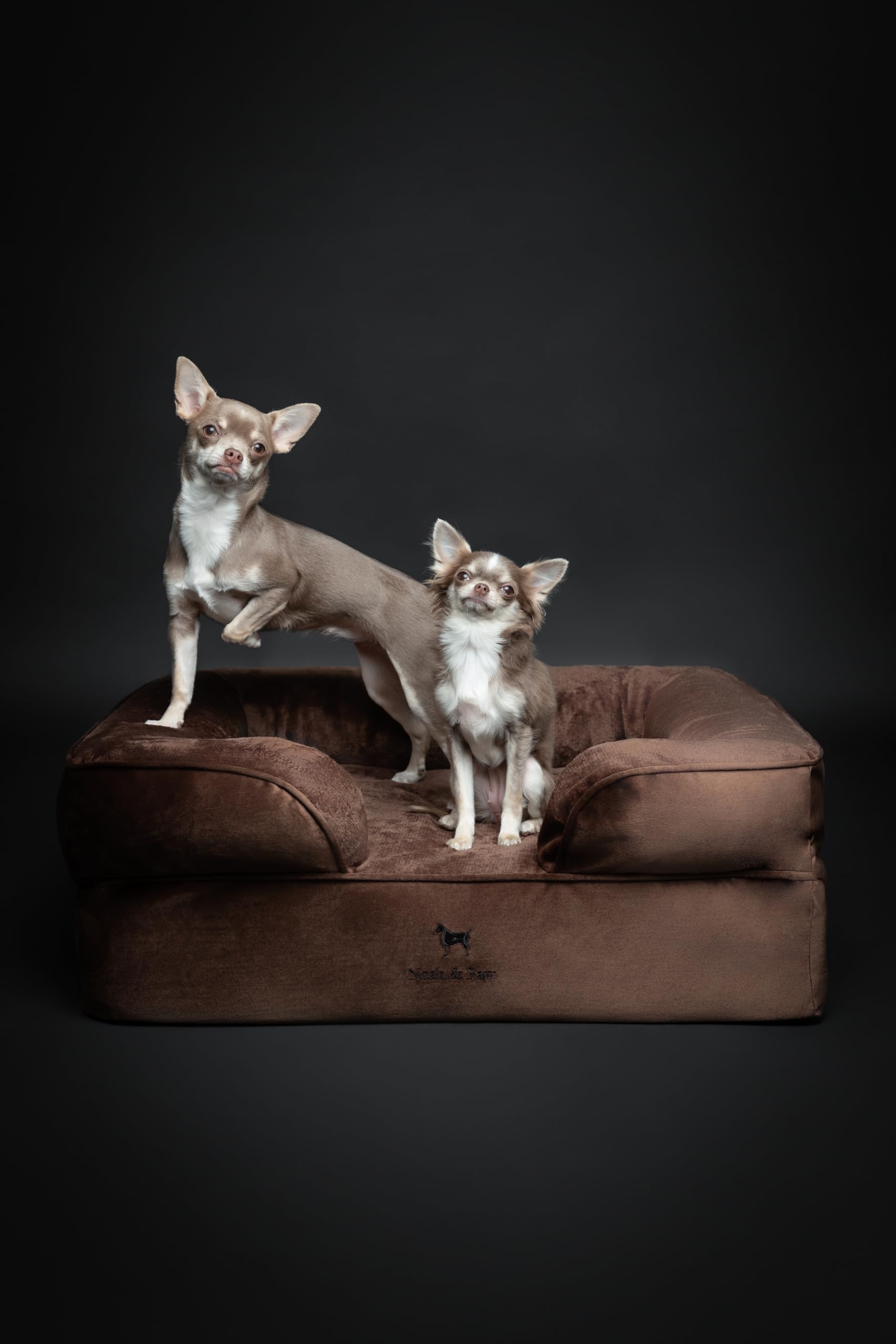 NOAH & PAW dog bed inner cover shown for washable, protective lining.