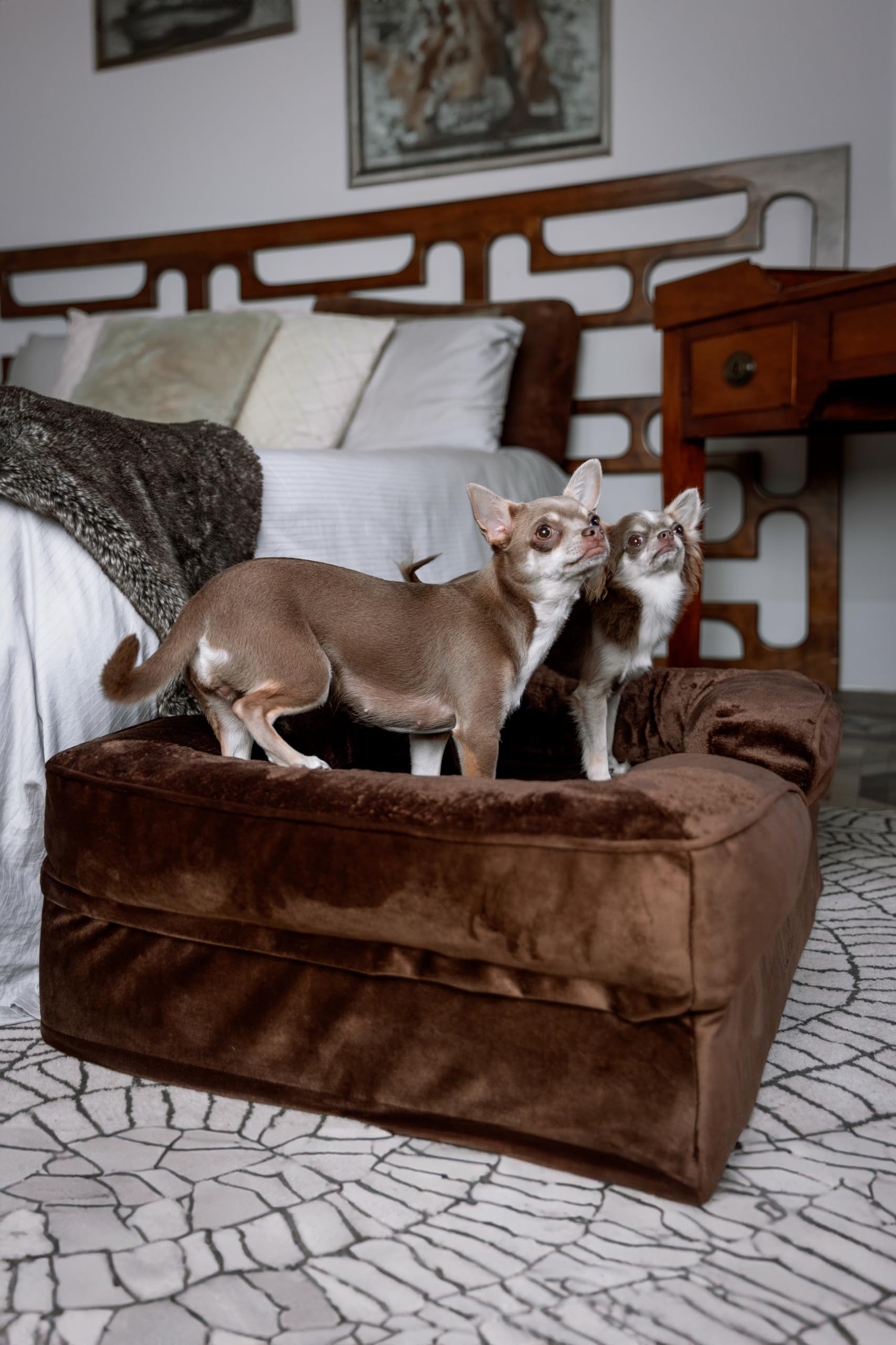 NOAH & PAW memory foam close-up highlighting cooling gel for comfort.