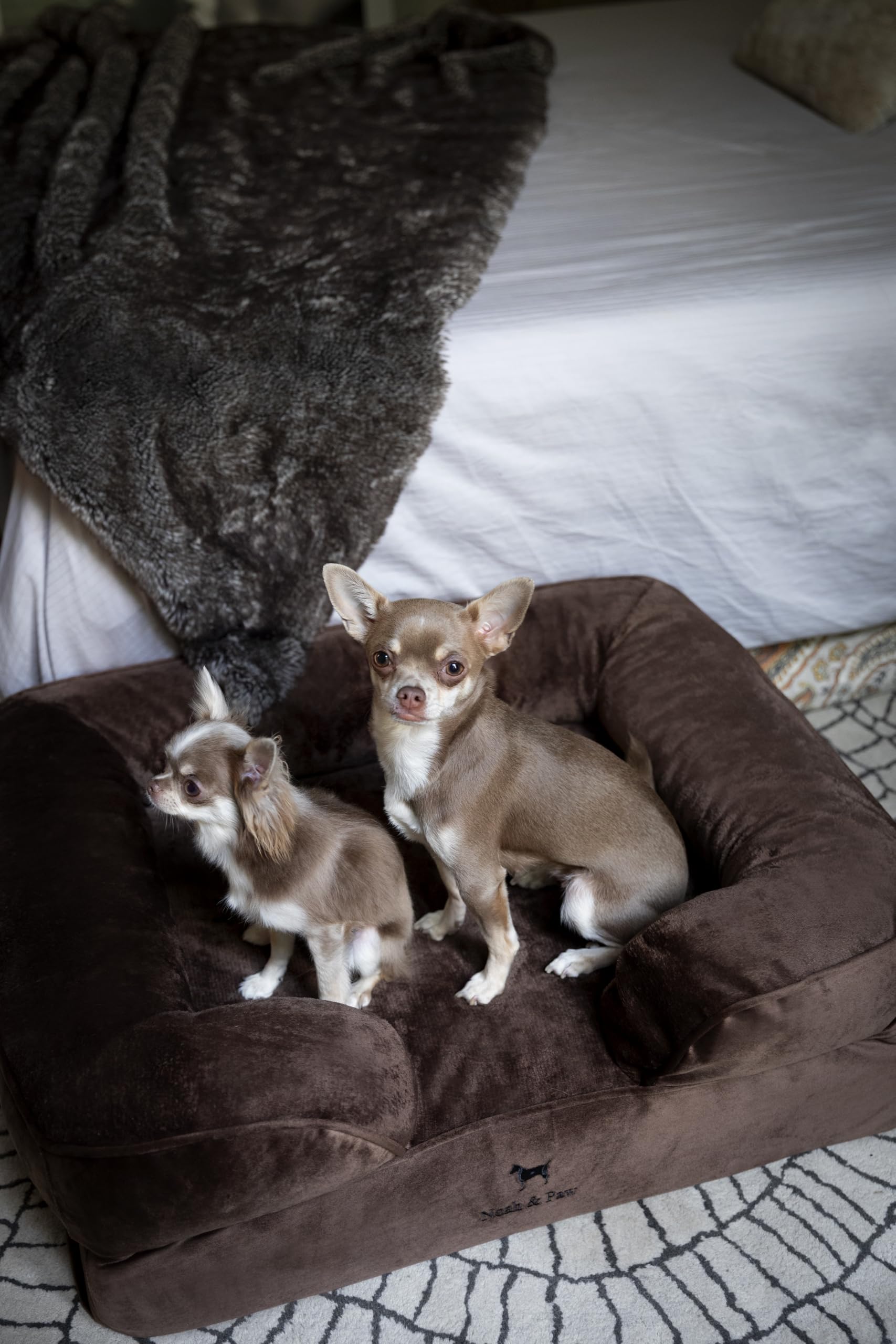 NOAH & PAW three-layer foam construction delivering stable, long-lasting support.