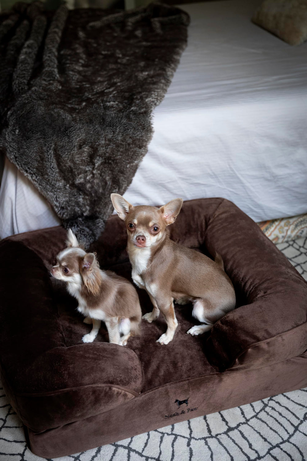 NOAH & PAW three-layer foam construction delivering stable, long-lasting support.