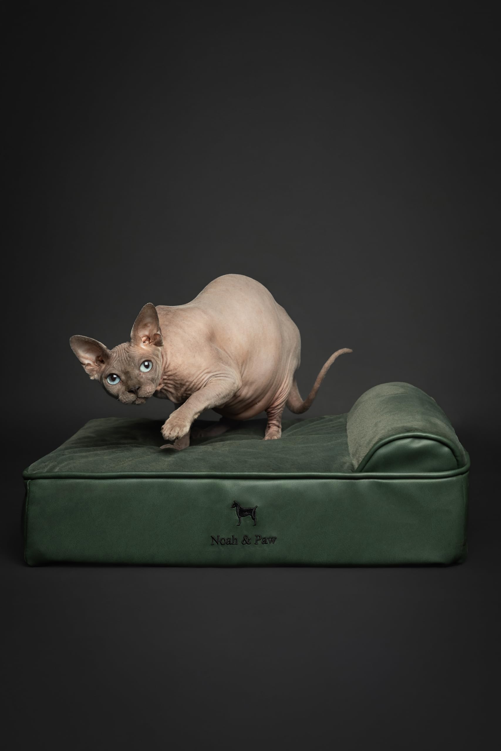 NOAH & PAW egg-shell memory foam image emphasizing cooling gel layer.