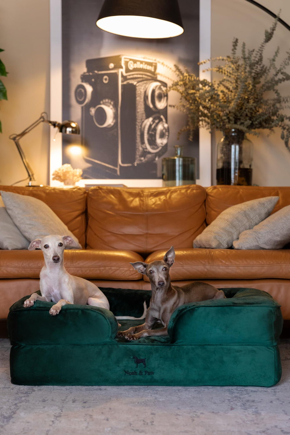NOAH & PAW Large Dog Bed reinforced bolster provides plush edge support.