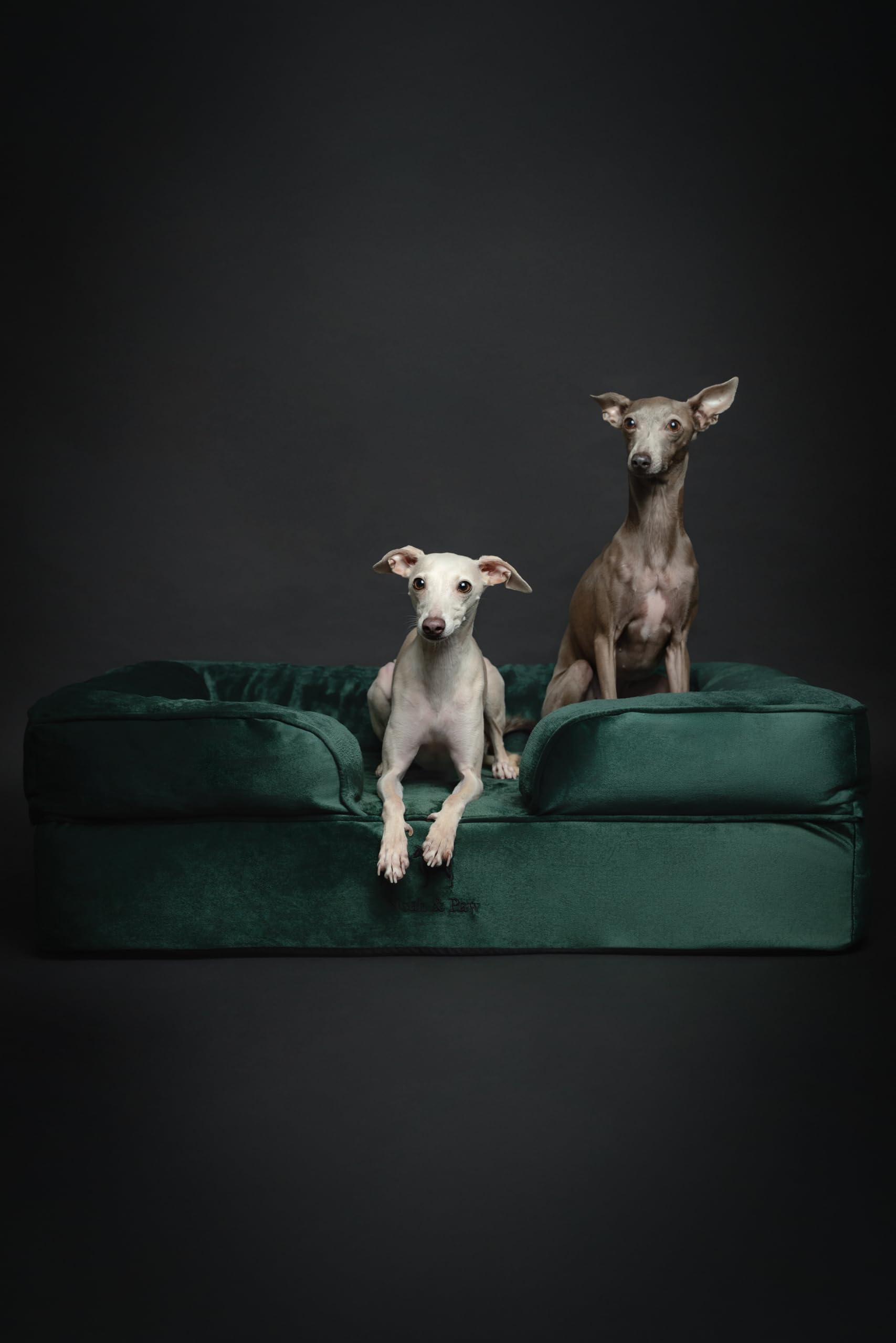 NOAH & PAW Large Dog Bed velvet fabric close-up shows luxe texture.