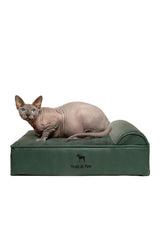 NOAH & PAW small dog bed front view with orthopedic support for joint comfort.
