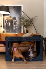 Noah & Paw XL travel kennel side view shows spacious interior for XL breeds.