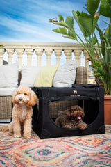 Noah & Paw crate with 10mm locking zippers for secure containment.