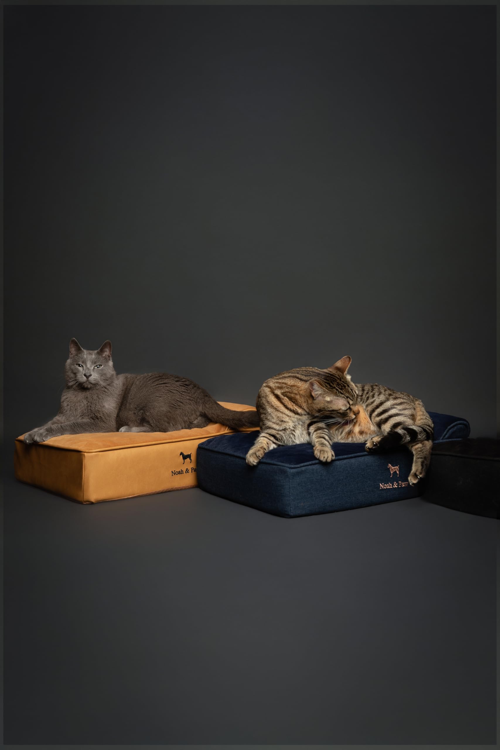 NOAH & PAW 20x15x6-5 inch size fits small spaces and pets