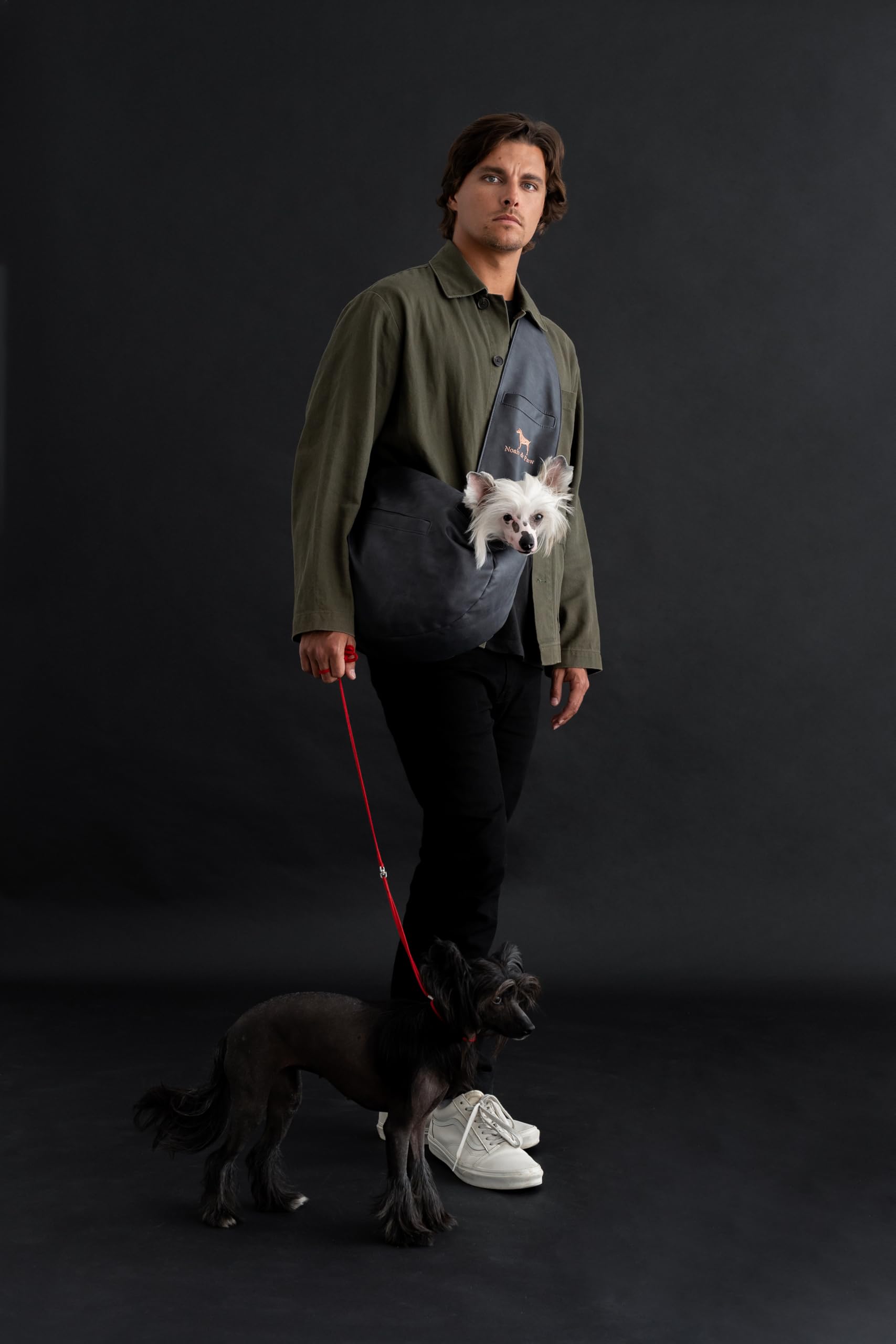 NOAH & PAW sling supports cats and small dogs with adjustable fit